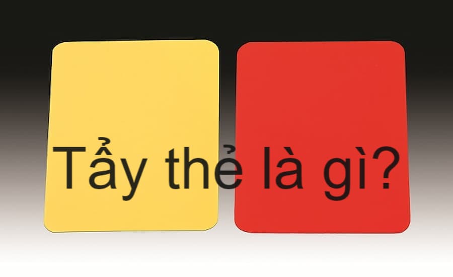 T y th l g m c ch c a vi c t y th trong b ng 