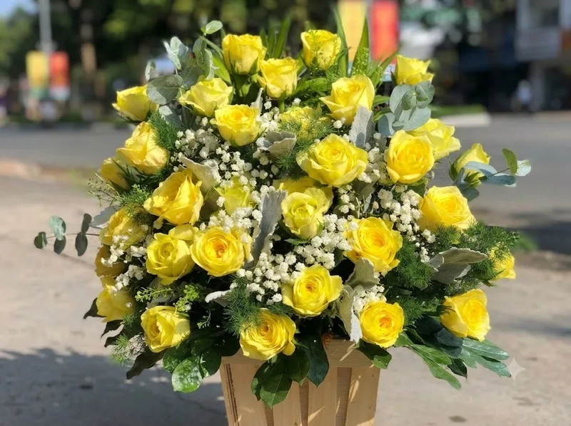 Hoa hồng vàng thay lời cảm ơn và thể hiện sự trân trọng chân thành.